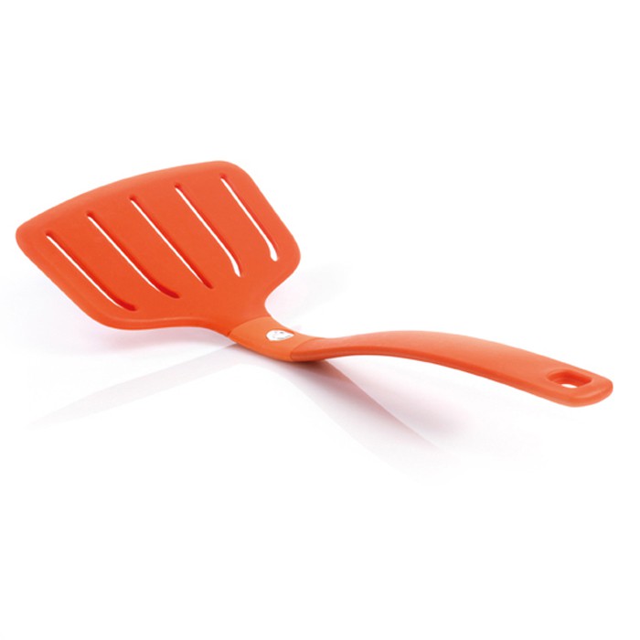 F14509 fish turner coral